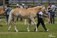 Dior. Pro zv�t�en� klikn�te