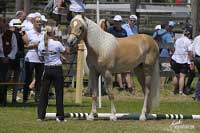 Dior. Pro zv�t�en� klikn�te