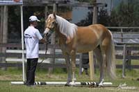 G�ja. Pro zv�t�en� klikn�te