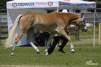 G�ja. Pro zv�t�en� klikn�te