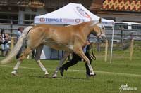 Moneta. Pro zv�t�en� klikn�te