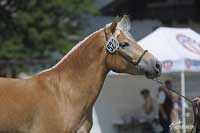 Moneta. Pro zv�t�en� klikn�te