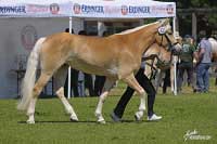 Andromeda. Pro zv�t�en� klikn�te