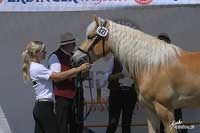 Andromeda. Pro zv�t�en� klikn�te