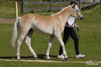 Seija. Pro zv�t�en� klikn�te