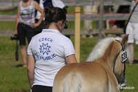 Seija. Pro zv�t�en� klikn�te