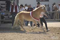 Vyhl�en� Ameliny v�t�zkou t��dy. Pro zv�t�en� klikn�te