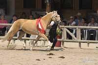 Druh� m�sto mezi mlad��mi klisnami zbylo na Quelle. Pro zv�t�en� klikn�te