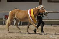 Reserve�ampionka sta��ch Alexandria. Pro zv�t�en� klikn�te