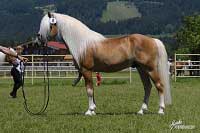 Avalon. Pro zv�t�en� klikn�te