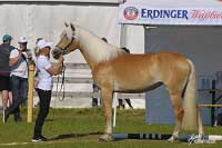 Bahar. Pro zv�t�en� klikn�te