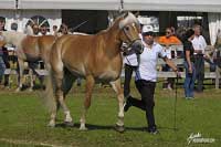 Bahar. Pro zv�t�en� klikn�te