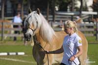 Campbella. Pro zv�t�en� klikn�te