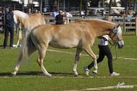 Campbella. Pro zv�t�en� klikn�te