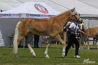 Daylight. Pro zv�t�en� klikn�te