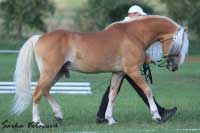 Avalon. Pro zv�t�en� klikn�te