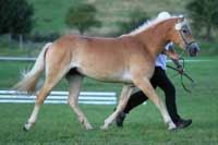 Bahar. Pro zv�t�en� klikn�te