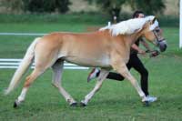 Campbella. Pro zv�t�en� klikn�te