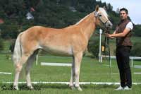 Amelina. Pro zv�t�en� klikn�te