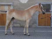 Seija. Pro zv�t�en� klikn�te