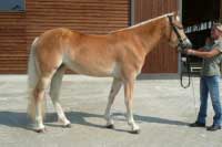 Andromeda. Pro zv�t�en� klikn�te