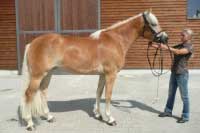 Daylight. Pro zv�t�en� klikn�te