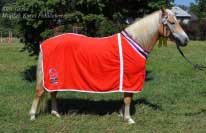 �ampionka v�stavy Gej�a. Pro zv�t�en� klikn�te