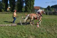 Ela s Janem Jedli�kou v sout�i v ovladatelnosti. Pro zv�t�en� klikn�te