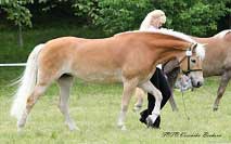 Clarina. Pro zv�t�en� klikn�te