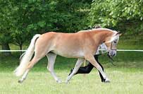 Moneta. Pro zv�t�en� klikn�te