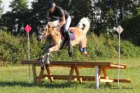 V t��d� star��ch kon� jela v�estrannost s Pavlem Studni�kou Sunflower. Pro zv�t�en� klikn�te