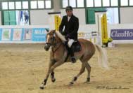 Sunflower v drezurn� ��sti. Pro zv�t�en� klikn�te