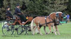 Ve Vermezzu se konaly tak� sout�e dvojsp�e��. Pro zv�t�en� klikn�te