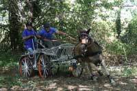 A nechyb�la ani jednosp�e��. Pro zv�t�en� klikn�te