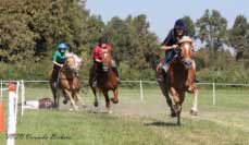 Adrenalinov� byly cvalov� dostihy. Pro zv�t�en� klikn�te