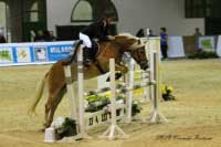 Klisna Cabina s Terezou Frankeovou tak� jely otev�enou skokovou sout�. Pro zv�t�en� klikn�te