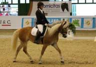 Unadonna a ��rka Futschikov� p�i drezurn� ��sti. Pro zv�t�en� klikn�te