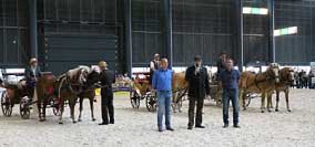 Komisi p�ivezly do p�edvadi�t� t�i sp�e�en� hafling�. Pro zv�t�en� klikn�te