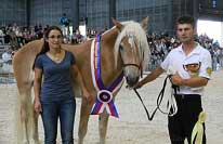 Cenu �esk�ch chovatel� p�ed�vala za hodnot�c� Martina Da�kov�. Pro zv�t�en� klikn�te