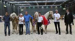 Bahar, Moneta a Atlantis s majiteli a komis�. Pro zv�t�en� klikn�te