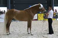 Plemen�k Amaranth. Pro zv�t�en� klikn�te