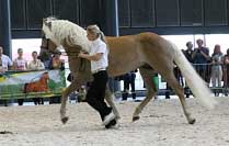 H�ebec Athos. Pro zv�t�en� klikn�te