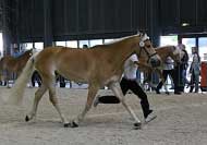 Andromeda. Pro zv�t�en� klikn�te