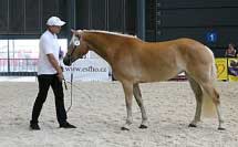 Atlantis - v�t�zka star�� t��dy. Pro zv�t�en� klikn�te