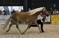 Atlantis - v�t�zka star�� t��dy. Pro zv�t�en� klikn�te