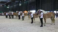 T��da 5-6 let�ch byla letos nabit�. Pro zv�t�en� klikn�te