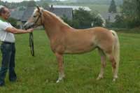 Gej�a. Pro zv�t�en� klikn�te