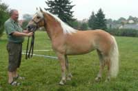 Limon�da. Pro zv�t�en� klikn�te