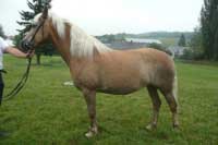 Ecaterina. Pro zv�t�en� klikn�te