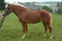 Fiona. Pro zv�t�en� klikn�te